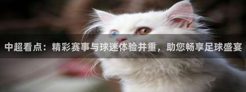 中超看点：精彩赛事与球迷体验并重，助您畅享足球盛宴