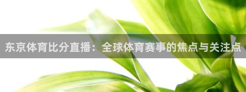 东京体育比分直播：全球体育赛事的焦点与关注点