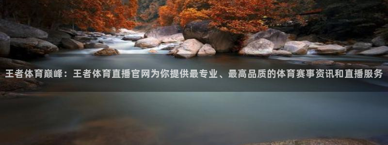 王者体育巅峰：王者体育直播官网为你提供最专业、最高品质的体育赛事资讯和直播服务