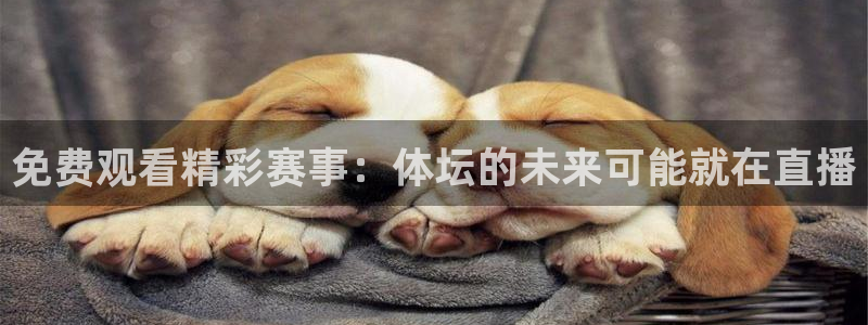 免费观看精彩赛事：体坛的未来可能就在直播