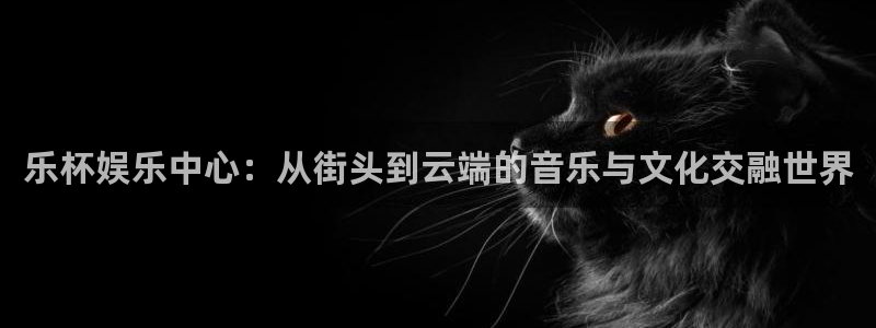 乐杯娱乐中心：从街头到云端的音乐与文化交融世界