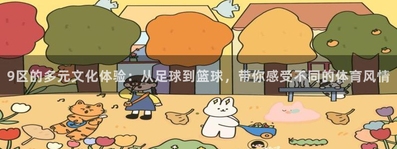 9区的多元文化体验：从足球到篮球，带你感受不同的体育风情